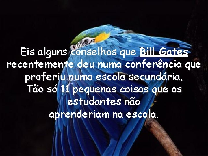 Eis alguns conselhos que Bill Gates recentemente deu numa conferência que proferiu numa escola