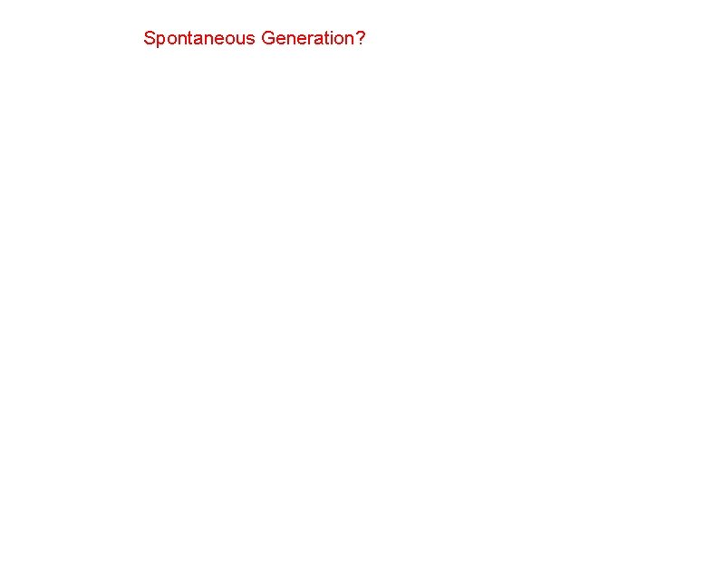 Spontaneous Generation? 