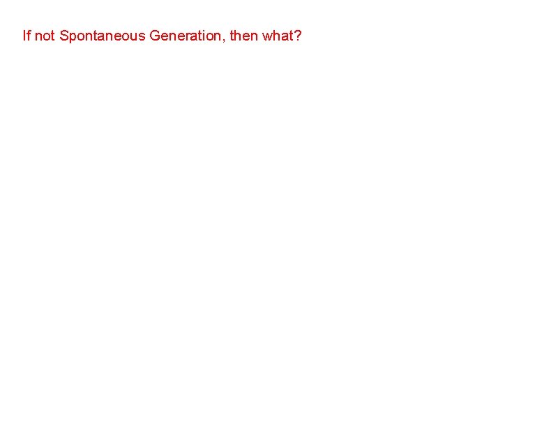 If not Spontaneous Generation, then what? 