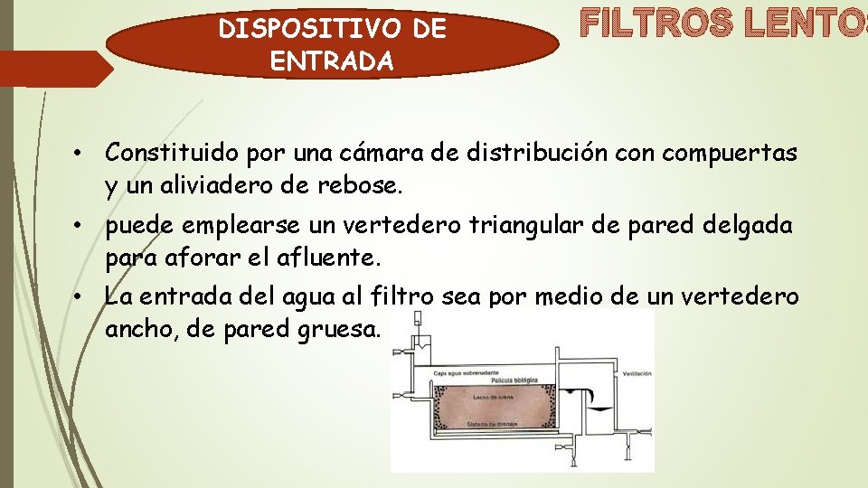 DISPOSITIVO DE ENTRADA FILTROS LENTOS • Constituido por una cámara de distribución compuertas y