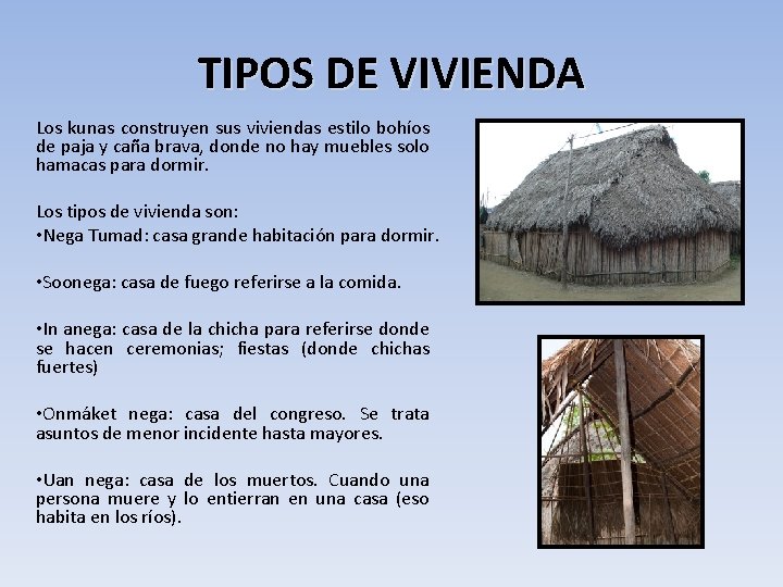 TIPOS DE VIVIENDA Los kunas construyen sus viviendas estilo bohíos de paja y caña