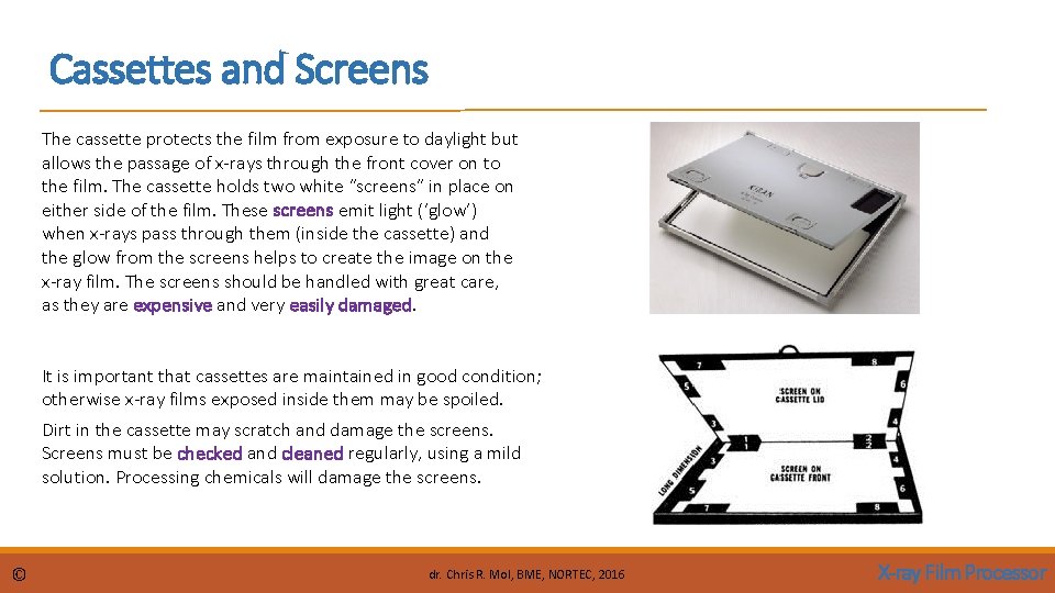Cassettes and Screens The cassette protects the film from exposure to daylight but allows Cassettes and Screens The cassette protects the film from exposure to daylight but allows