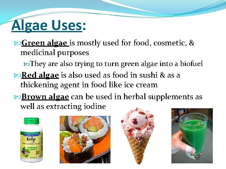 Algae Uses: Green algae is mostly used for food, cosmetic, & medicinal purposes They