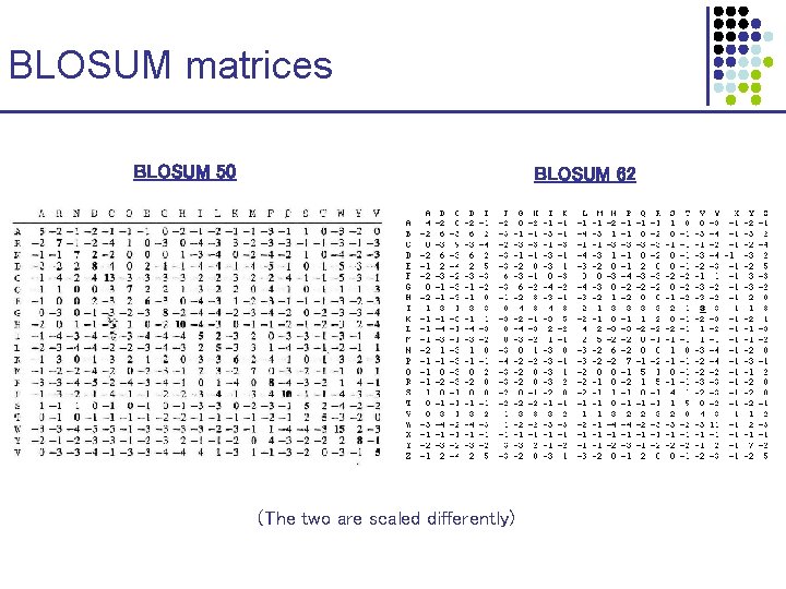 BLOSUM matrices BLOSUM 50 BLOSUM 62 (The two are scaled differently) 