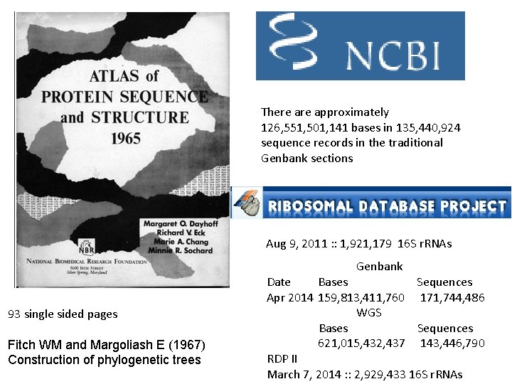 There approximately 126, 551, 501, 141 bases in 135, 440, 924 sequence records in