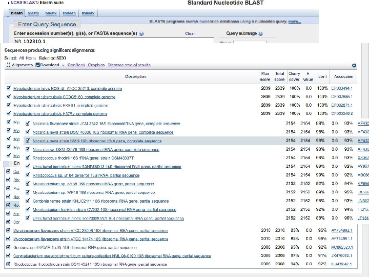 Could limit to Mycobacterium? May not know how similar related sequences are – may