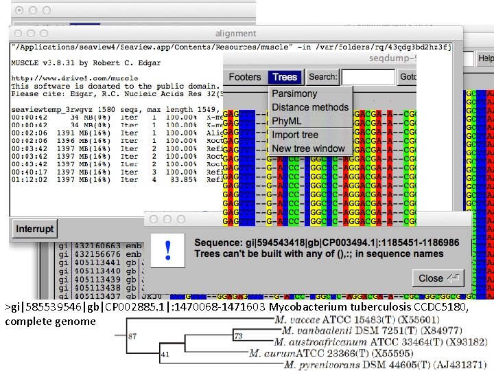 >gi|585539546|gb|CP 002885. 1|: 1470068 -1471603 Mycobacterium tuberculosis CCDC 5180, complete genome 