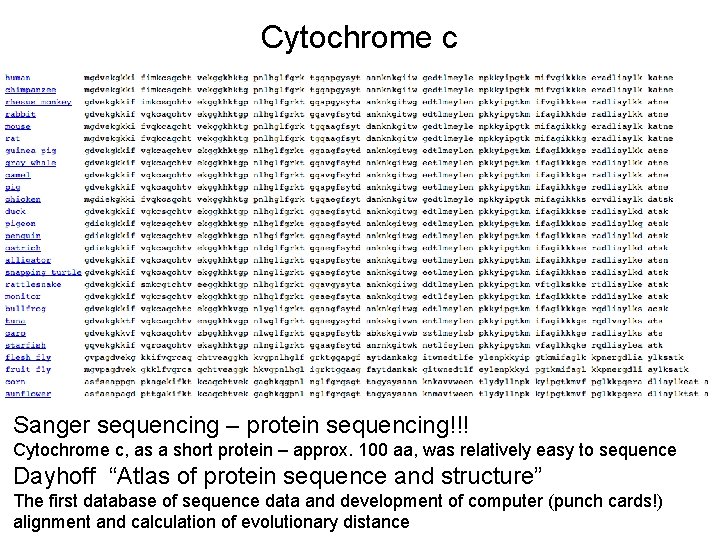 Cytochrome c Sanger sequencing – protein sequencing!!! Cytochrome c, as a short protein –