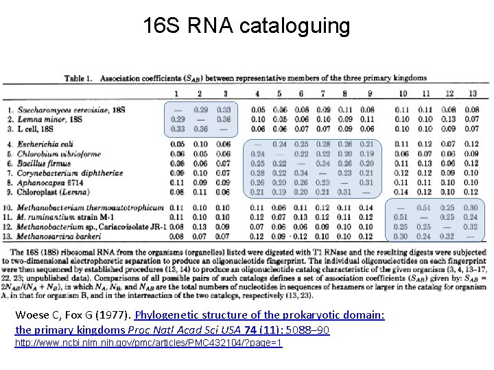 16 S RNA cataloguing Woese C, Fox G (1977). Phylogenetic structure of the prokaryotic