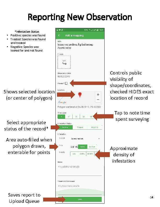 Reporting New Observation *Infestation Status • Positive: species was found • Treated: Species was