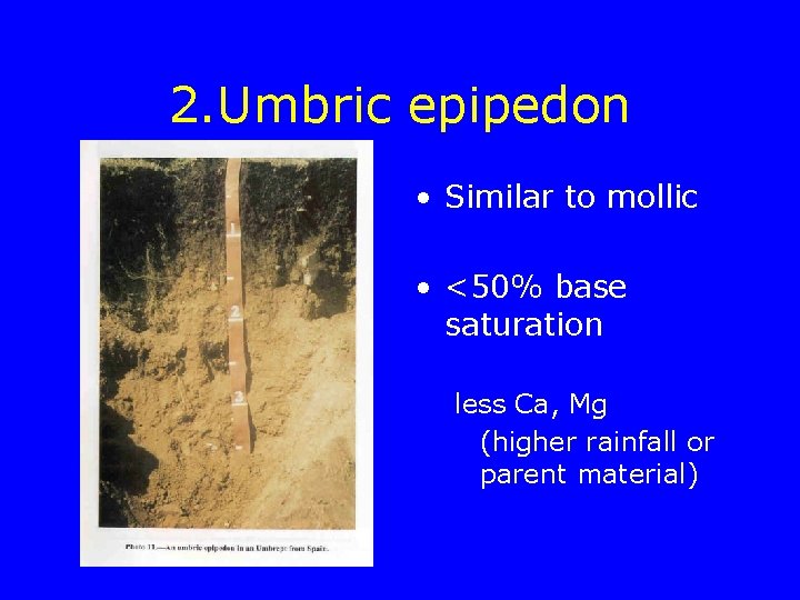 2. Umbric epipedon • Similar to mollic • <50% base saturation less Ca, Mg
