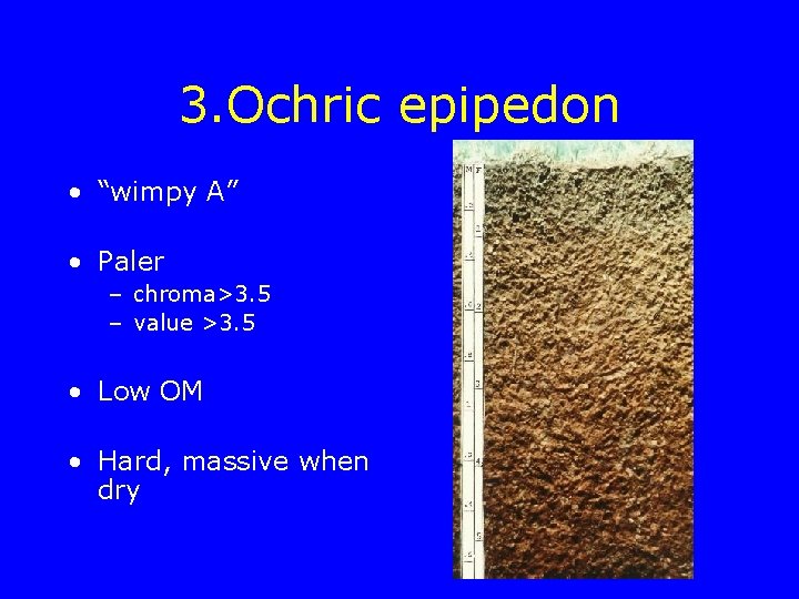 3. Ochric epipedon • “wimpy A” • Paler – chroma>3. 5 – value >3.