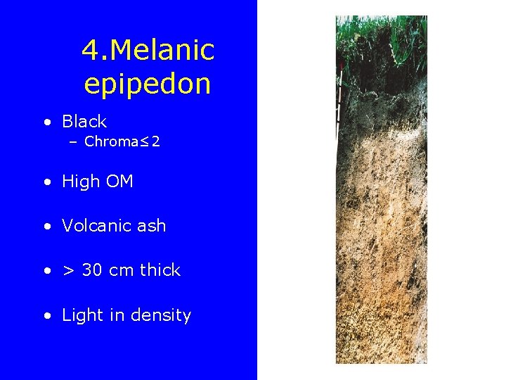 4. Melanic epipedon • Black – Chroma≤ 2 • High OM • Volcanic ash