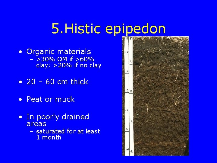 5. Histic epipedon • Organic materials – >30% OM if >60% clay; >20% if