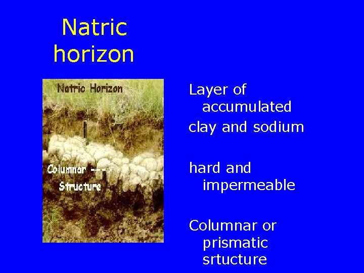 Natric horizon Layer of accumulated clay and sodium hard and impermeable Columnar or prismatic