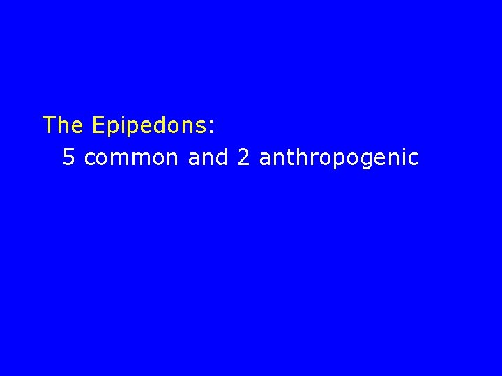 The Epipedons: 5 common and 2 anthropogenic 