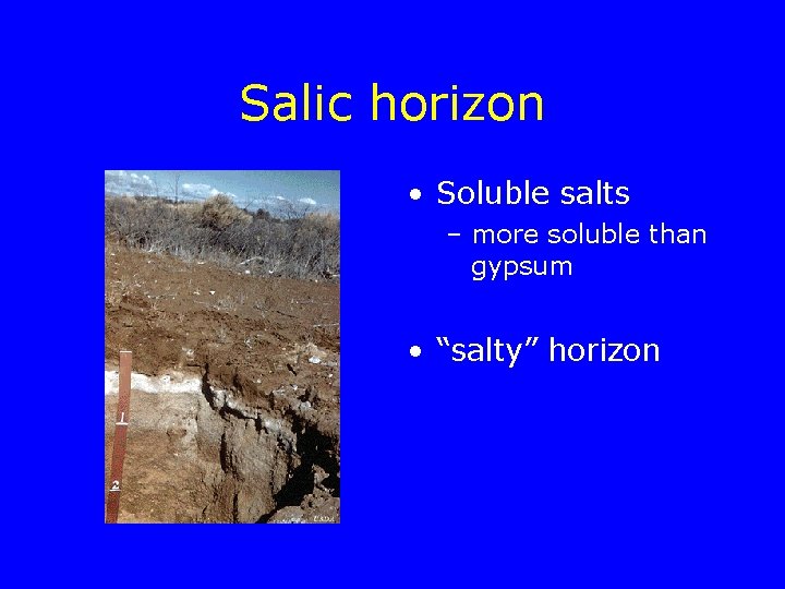 Salic horizon • Soluble salts – more soluble than gypsum • “salty” horizon 