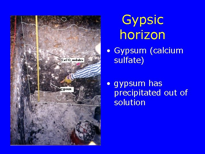 Gypsic horizon • Gypsum (calcium sulfate) • gypsum has precipitated out of solution 