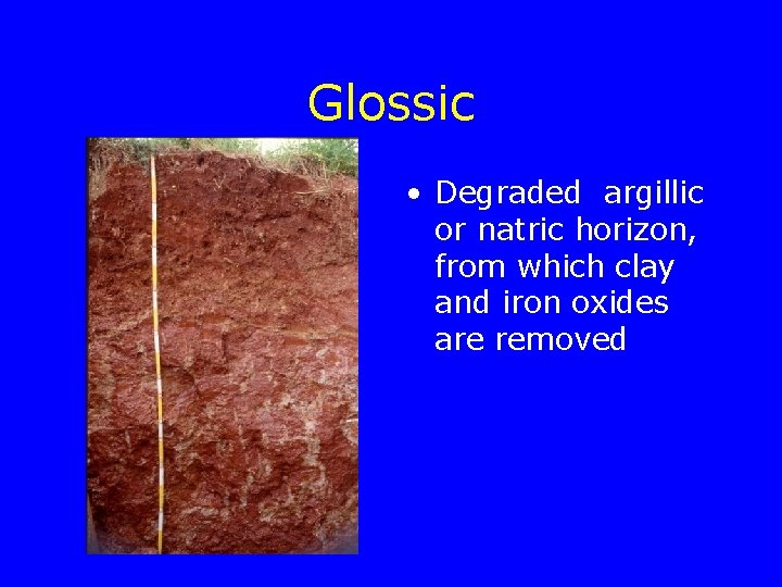Glossic • Degraded argillic or natric horizon, from which clay and iron oxides are