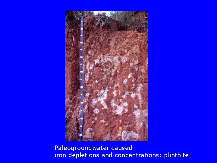 Paleogroundwater caused iron depletions and concentrations; plinthite 