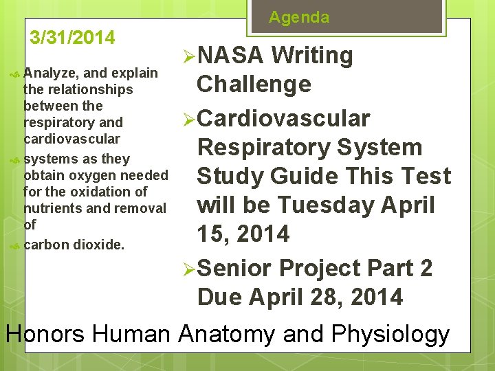 Agenda 3/31/2014 Analyze, and explain the relationships between the respiratory and cardiovascular systems as