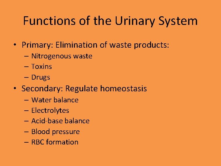 Functions of the Urinary System • Primary: Elimination of waste products: – Nitrogenous waste