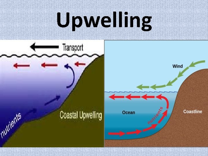 Upwelling 