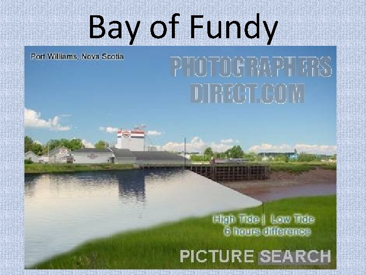 Bay of Fundy 