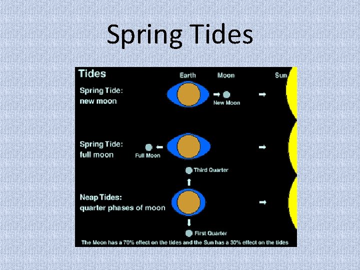 Spring Tides 