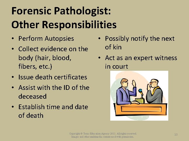 Forensic Pathologist: Other Responsibilities • Perform Autopsies • Collect evidence on the body (hair,