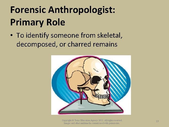 Forensic Anthropologist: Primary Role • To identify someone from skeletal, decomposed, or charred remains