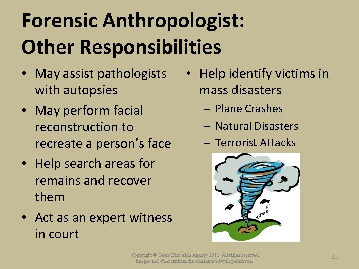 Forensic Anthropologist: Other Responsibilities • May assist pathologists • Help identify victims in with