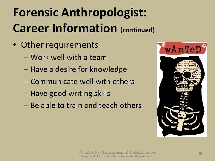 Forensic Anthropologist: Career Information (continued) • Other requirements – Work well with a team