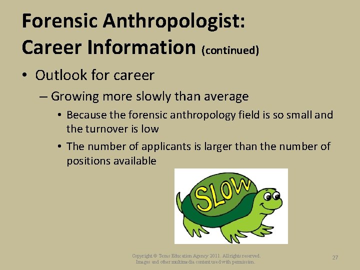 Forensic Anthropologist: Career Information (continued) • Outlook for career – Growing more slowly than