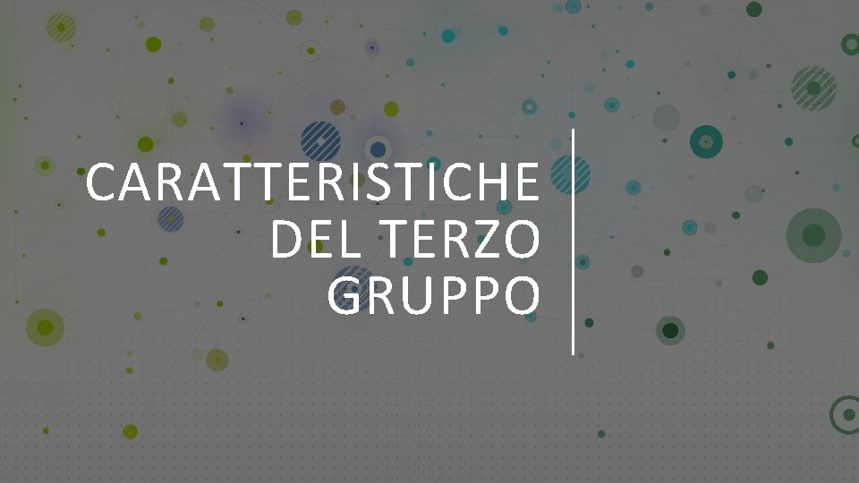 CARATTERISTICHE DEL TERZO GRUPPO 