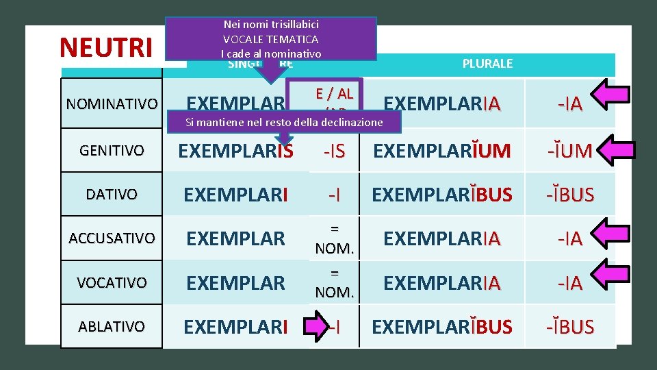 NEUTRI NOMINATIVO Nei nomi trisillabici VOCALE TEMATICA I cade al nominativo SINGOLARE PLURALE E