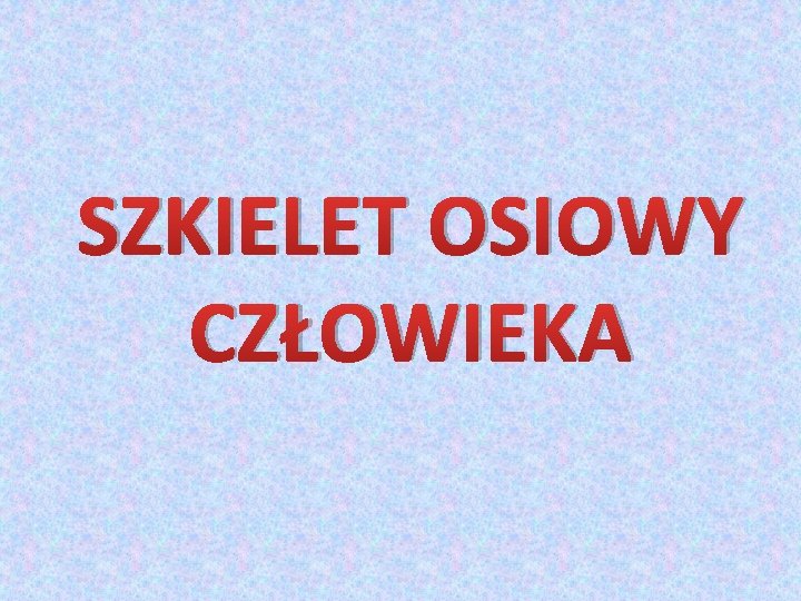 SZKIELET OSIOWY CZŁOWIEKA 