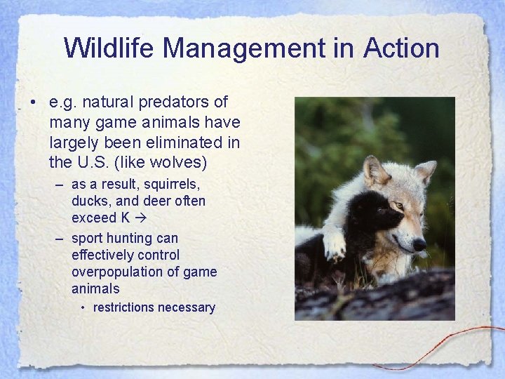 Wildlife Management in Action • e. g. natural predators of many game animals have