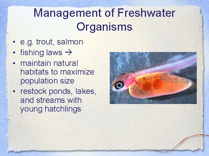 Management of Freshwater Organisms • e. g. trout, salmon • fishing laws • maintain