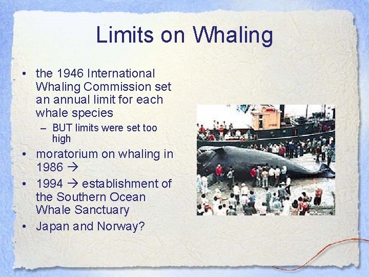 Limits on Whaling • the 1946 International Whaling Commission set an annual limit for