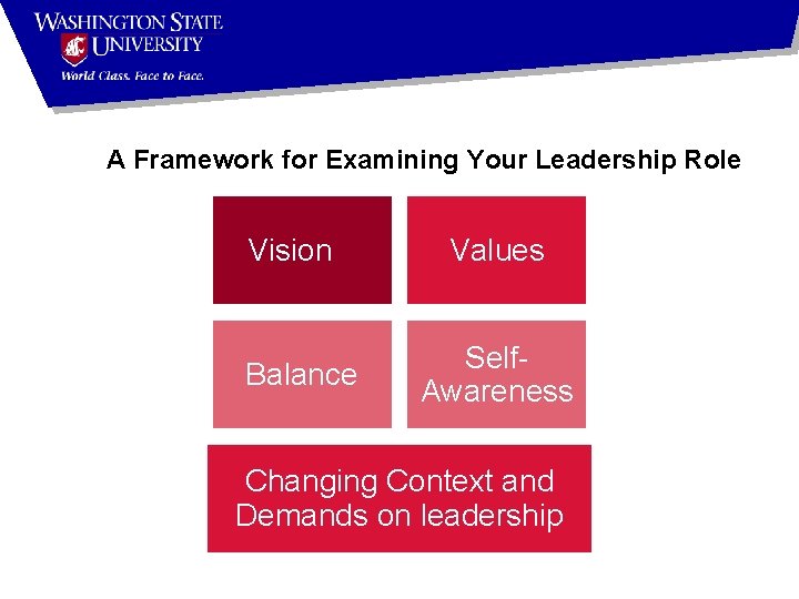 A Framework for Examining Your Leadership Role Vision Balance Values Self. Awareness Changing Context