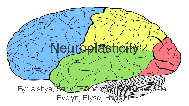 Neuroplasticity By: Aishya, Sanvi, Samantha, Radhika, Adele, Evelyn, Elyse, Haasini 