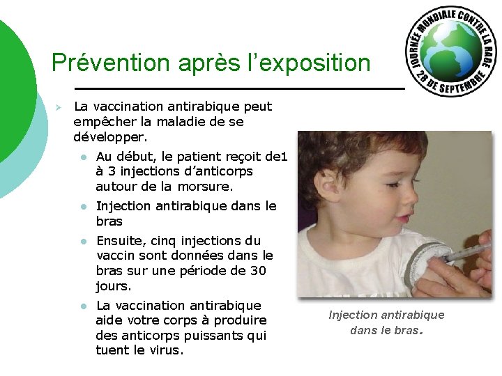 Prévention après l’exposition Ø La vaccination antirabique peut empêcher la maladie de se développer.