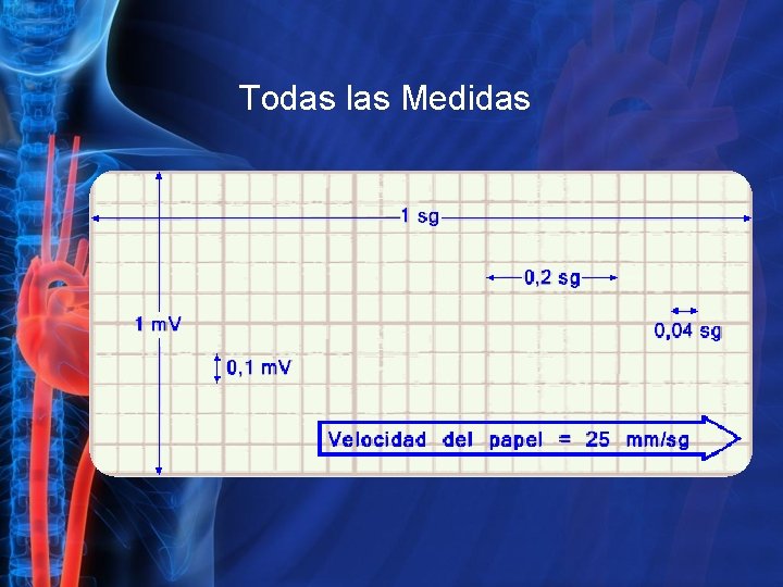 Todas las Medidas 