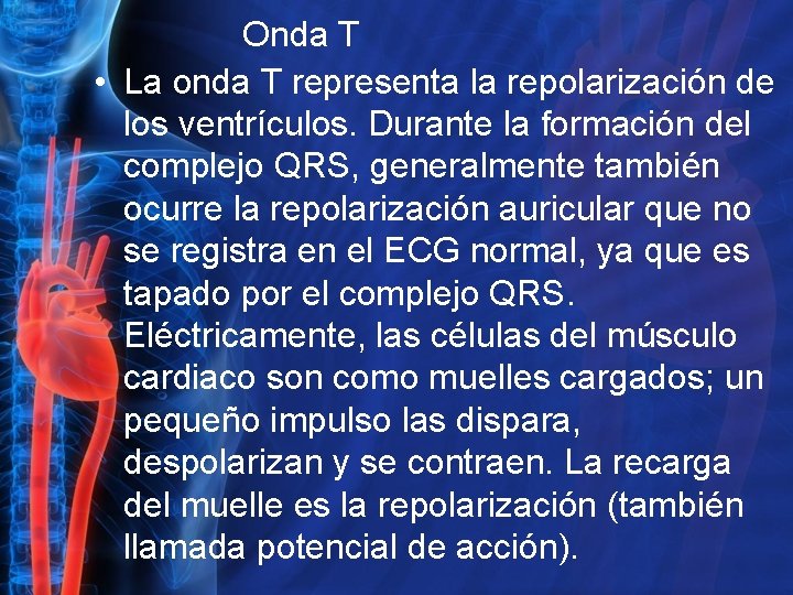 Onda T • La onda T representa la repolarización de los ventrículos. Durante la