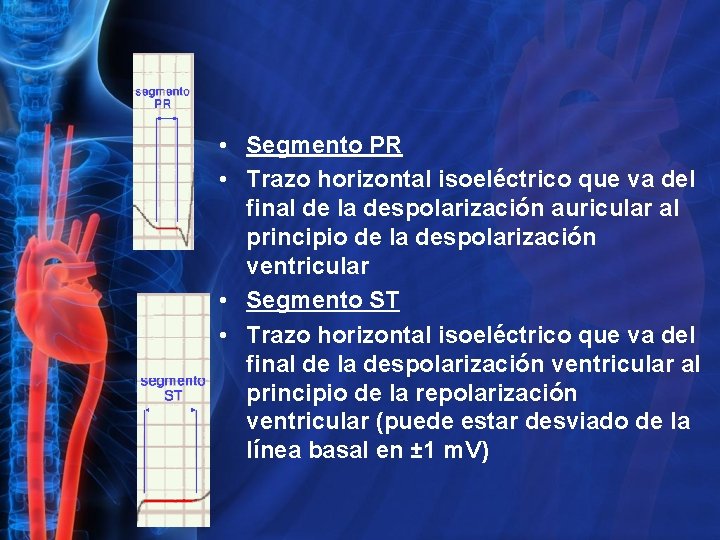  • Segmento PR • Trazo horizontal isoeléctrico que va del final de la