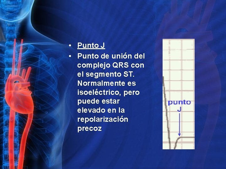  • Punto J • Punto de unión del complejo QRS con el segmento