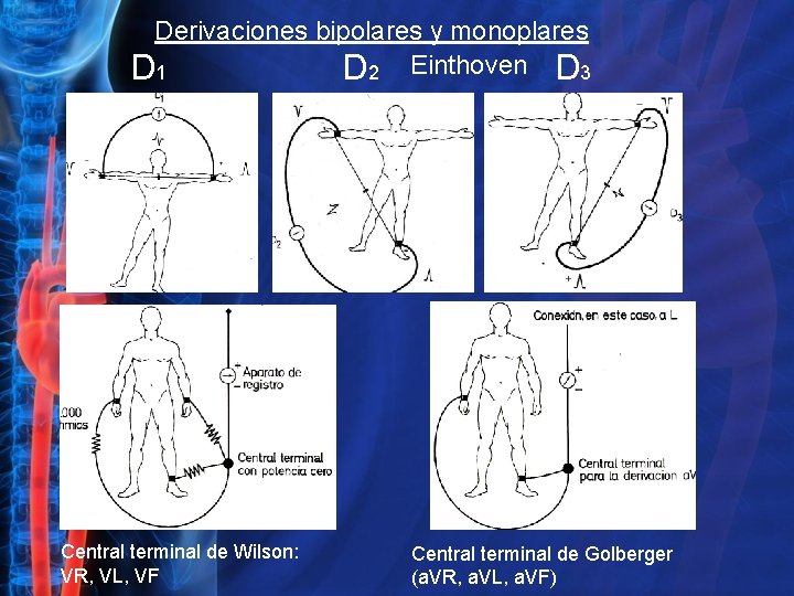 Derivaciones bipolares y monoplares D 1 D 2 Einthoven D 3 Central terminal de