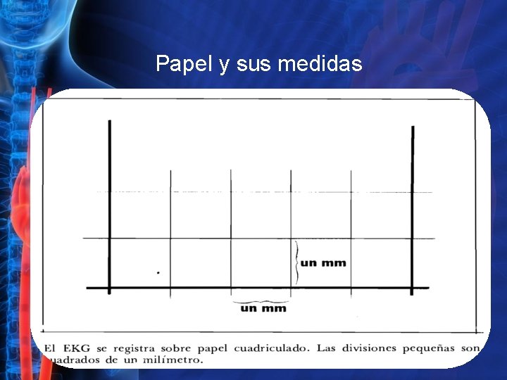 Papel y sus medidas 