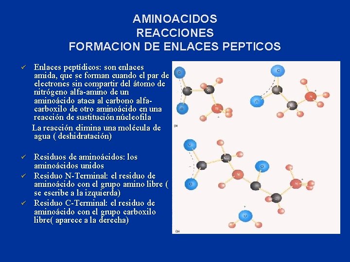 Biomoleculas Aminoacidos Aminoacidos A B C D Componentes 9449